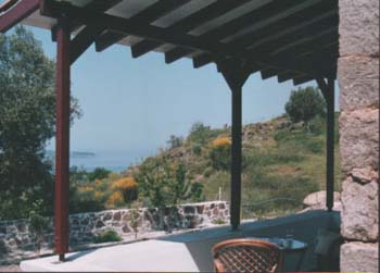 Balcony or Terrace