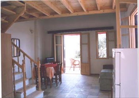 photo12.jpg